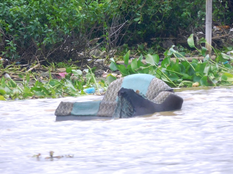 Sampah Sungai Juwana / Clakclik.com