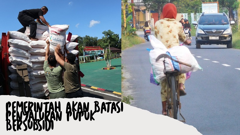 Ilustrasi/Istimewa