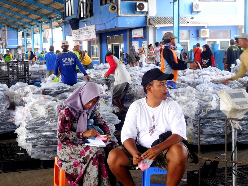 Lelang ikan di TPI Bajomulyo 1 Juwana, (12/10/2019) / Clakclik.com