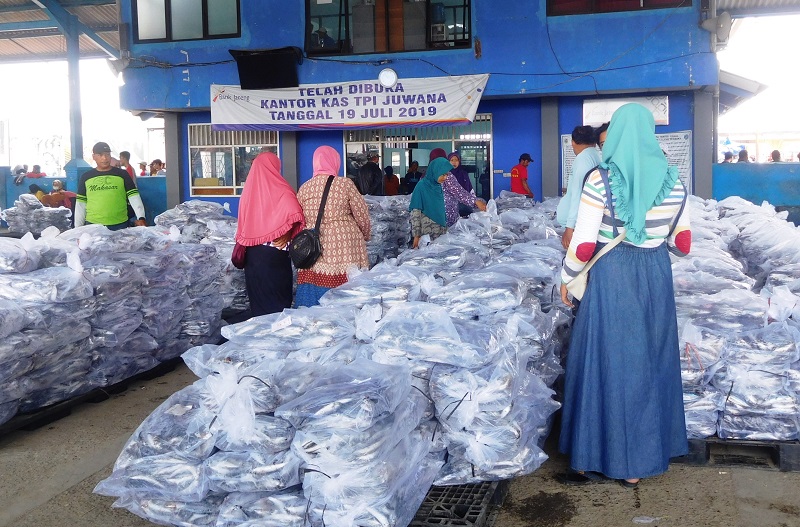 Lelang ikan di TPI Bajomulyo 1 Juwana, (12/10/2019) / Clakclik.com