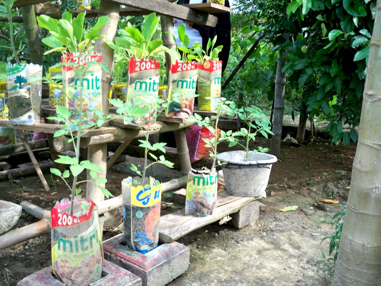 Bola plastik yang sudah rusak dimanfaatkan untuk pot tanaman sayur di Desa Babalan, Kec. Gabus, Pati. Warga desa ini memanfaatkan barang bekas yang sudah menjadi sampah untuk pot tanaman sayur di pekarangan.