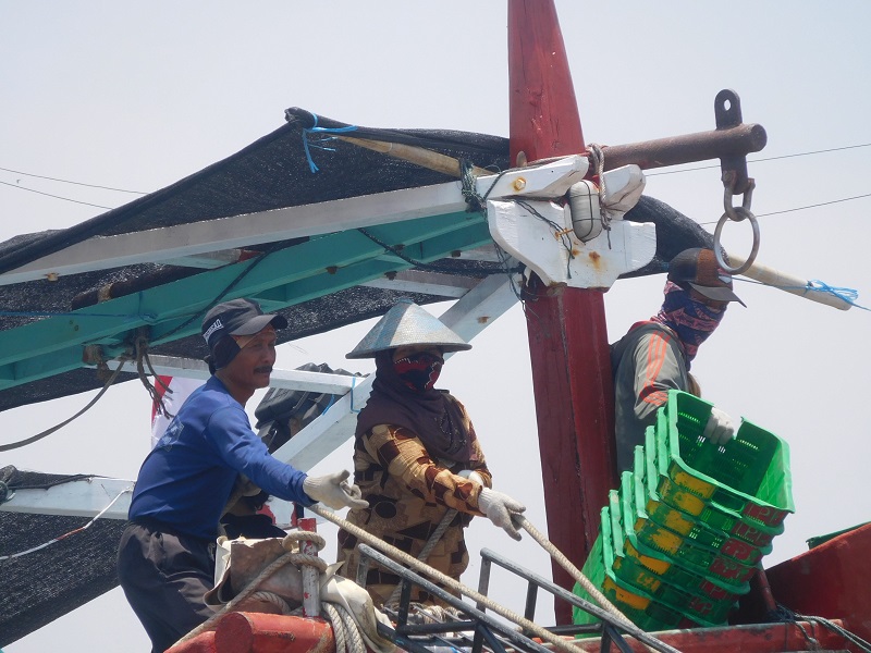 perempuan terlibat dalam proses bongkar ikan di pelabuhan juwana, (12/10/2019) / Clakclik.com