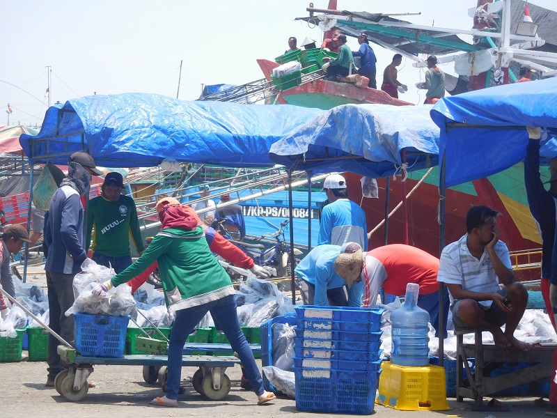 aktivitas bongkar ikan di pelabuhan juwana, (12/10/2019) / Clakclik.com