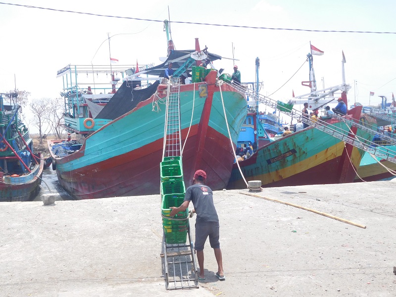 aktivitas bongkar ikan di pelabuhan juwana, (12/10/2019) / Clakclik.com