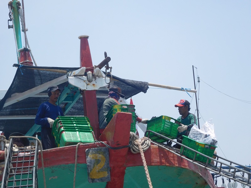 aktivitas bongkar ikan di pelabuhan juwana, (12/10/2019) / Clakclik.com