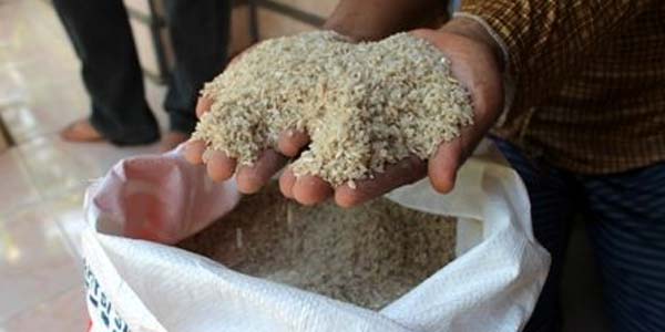 Beras Bulog Rusak / Inilah.com