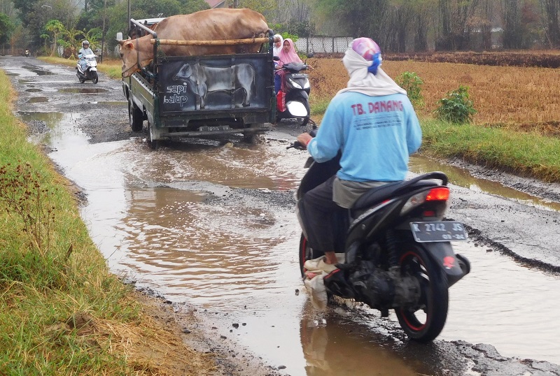 Sejumlah warga dengan kendaraan sepeda motor dan mobil melintas di jalan lintas Pucawangi - Winong yang rusak parah, Senin (4/11.2019) / Clakclik.com