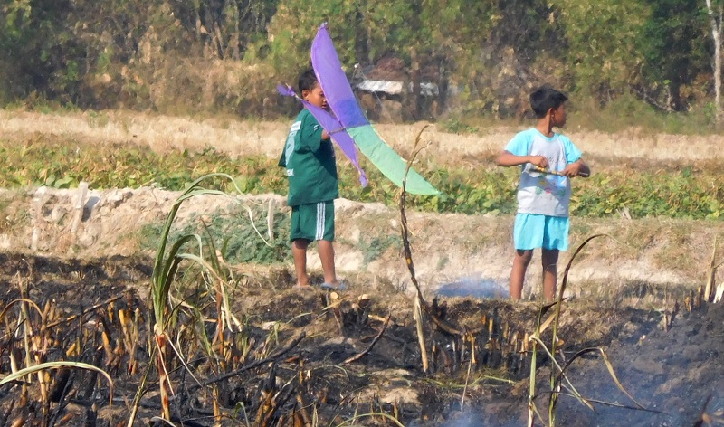 Dua anak sedang bersiap menerbangkan layang-layang di persawahan Desa Plosorejo, Pucakwangi, (12/09/2019) / Clakclik.com