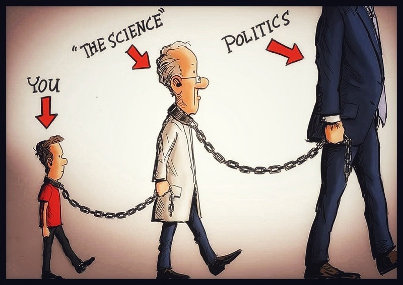Ilustrasi/Istimewa