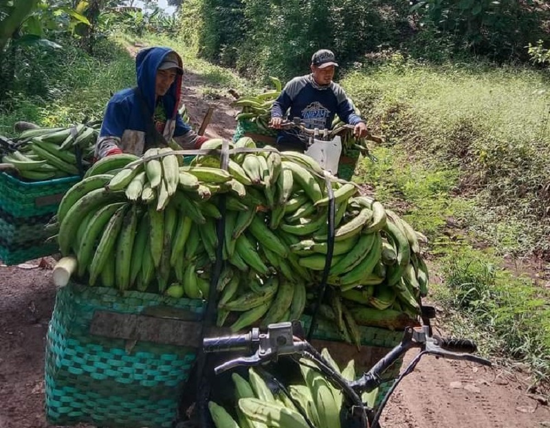 Foto: Mahfud Gerbang Tani Pati