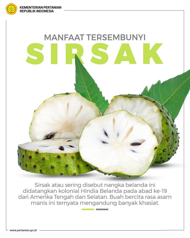 Ilustrasi / Istimewa